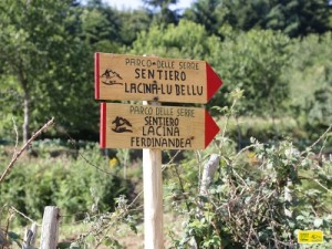 sentiero_lacina-lu_bellu_20150710_1207874671