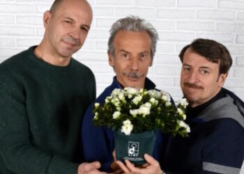 Domenica torna l’Azalea dell’Airc, in Calabria 160 piazze