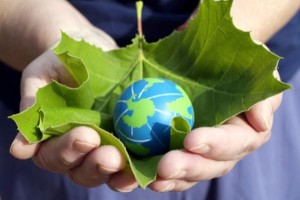 Giornata Mondiale dell'Ambiente in Calabria