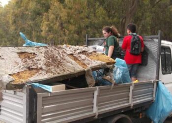 Ciro’ Marina, Pineta ridotta a discarica: cittadini sporchi e incivili