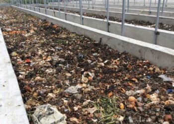 Lombricoltura, Saracena primato calabrese: rifiuti organici in humus