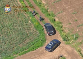 Frodi nel settore agricolo, segnalate 77 persone nel vibonese