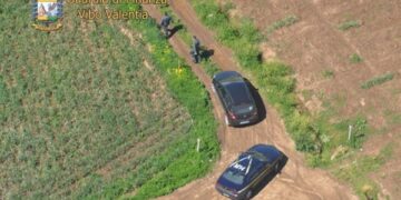 Frodi nel settore agricolo, segnalate 77 persone nel vibonese