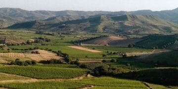 Ancora un altro grande successo per i vini cirotani