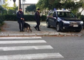 Calcio violento, arbitro aggredito: 4 Daspo nel reggino