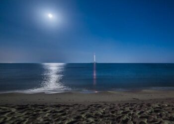 Il guardiano del campeggio