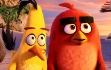 Il fenomeno Angry Birds sbarca al cinema. Dal 15 giugno