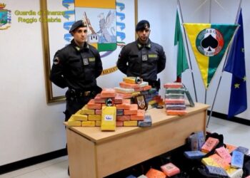 Cocaina tra la carne, maxi sequestro di oltre 2 quintali a Gioia Tauro