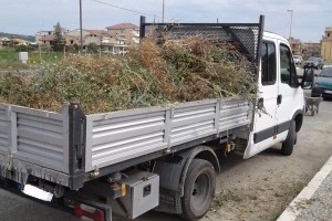 Giornata ecologia zona torrenova Città Pulita (2)