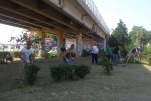 Giornata ecologica 25 giugno 2016 a Cirò Marina (3)