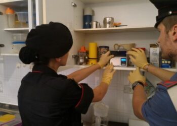 Blitz antidroga a San Leonardo di Cutro, arrestati due fratelli