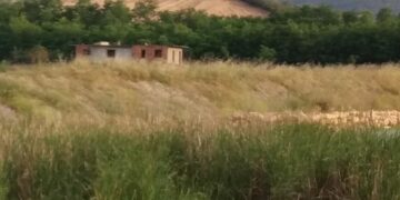 Cirò, consiglio comunale: concessione definitiva del diritto di superficie