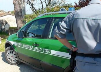 Ritrovato cercatore di funghi cariatese nei boschi di Savelli