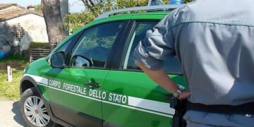 Ritrovato cercatore di funghi cariatese nei boschi di Savelli