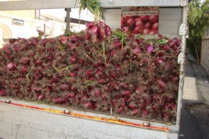 false cipolle di Tropea