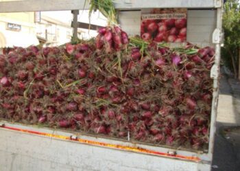 Vendevano false cipolle di Tropea, 2 denunce nel catanzarese