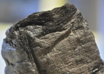 Fisici calabresi decifreranno libri, lettere e papiri sepolti dal Vesuvio