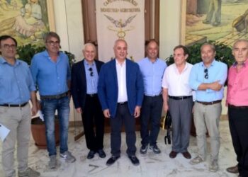 Eccellenze enogastronomiche, costituita ‘Strada del Vino e dei Sapori’ a Cosenza