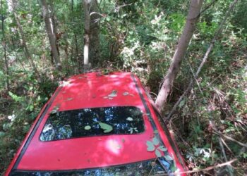 Auto finisce in dirupo, carabinieri salvano madre e figlia nel catanzarese