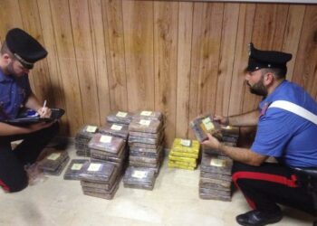 Trasportava su autocarro 100 kg di cocaina, fermato 48enne nel reggino