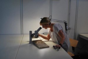 Dorina Bianchi all'Unical (1)