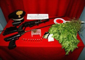 Innaffiavano piantagione di marijuana, due arrestati a Petilia Policastro