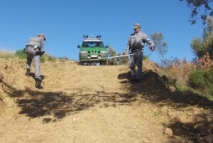 Forestale a Umbriatico