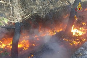 Incendio a Scandale (1)