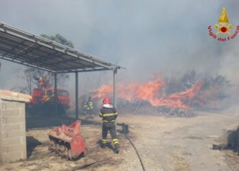 Scandale brucia, ettari di bosco distrutti: in azione tre Canadair
