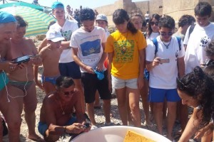 Liberazione tartaruga