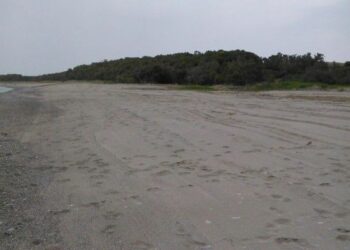 Continua pulizia delle spiagge a Ciro’, installate passerelle per disabili