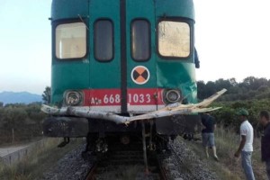 Treno Sibari-Crotone albero