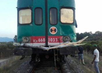 Albero sulla ferrovia, fermata la Sibari-Crotone: treno rischia di deragliare