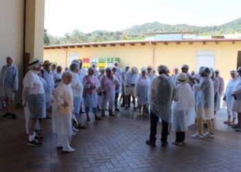 Dalla crociera ai vigneti, turisti in visita a Cariati