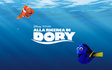 Alla Ricerca di Dory: "Ogni bimbo capisca di essere unico"