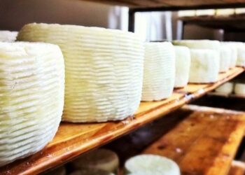 Bandiere del gusto, 269 vanno alla Calabria: una tavola di eccellenze