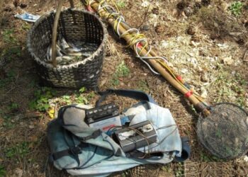 Pescavano trote con la corrente elettrica, 3 denunce a Petilia Policastro