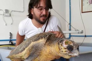 Il veterinario Giuseppe Bruno e la tartaruga Rocco