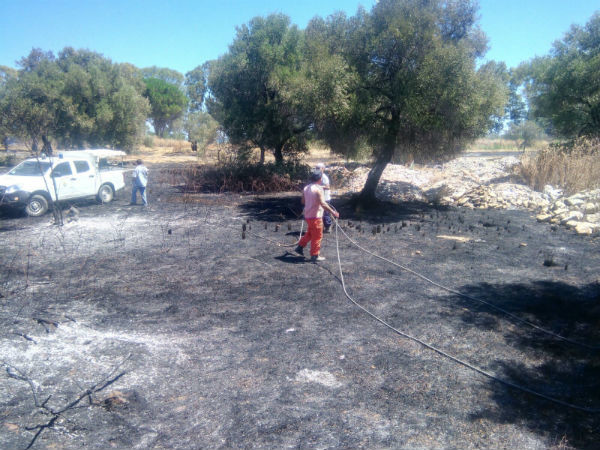 Incendio Pianagrande 2016 (2)