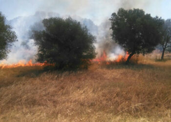 Crucoli, territorio martoriato dagli incendi