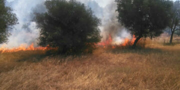 Crucoli, territorio martoriato dagli incendi
