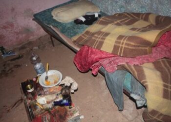 Caporalato, lavoratori sfruttati e alloggiati in porcili: 49 denunce nella sibaritide