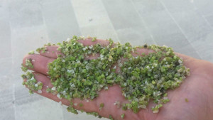 Macchia verde in mare (1)