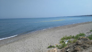 Macchia verde in mare (2)