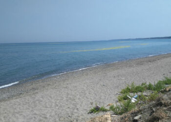 Torretta, macchia in mare, tanta paura ma era una pianta d’acqua