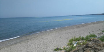 Torretta, macchia in mare, tanta paura ma era una pianta d’acqua