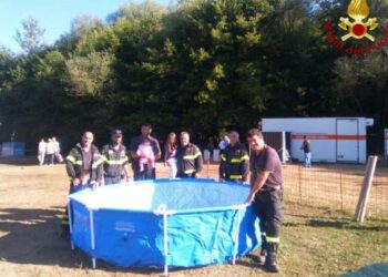 Dalla Calabria piscina per i bimbi del sisma