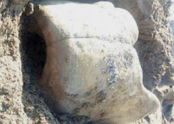 Reperti archeologici riaffiorano sulla spiaggia di Isola Capo Rizzuto