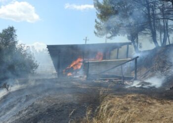 Casabona, brucia sterpaglie e provoca incendio: denunciato