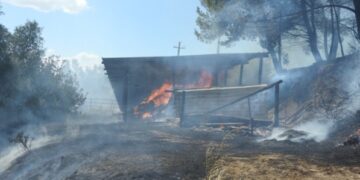 Casabona, brucia sterpaglie e provoca incendio: denunciato